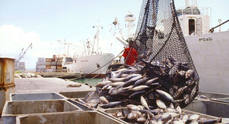 Un pescador descarga atún en la isla de Mah, en las Seychelles.